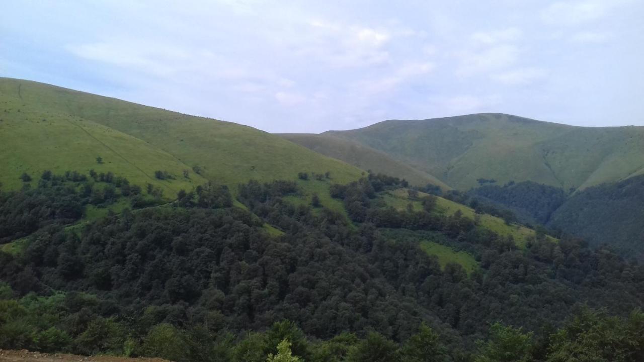 затишний будиночок Bukovets