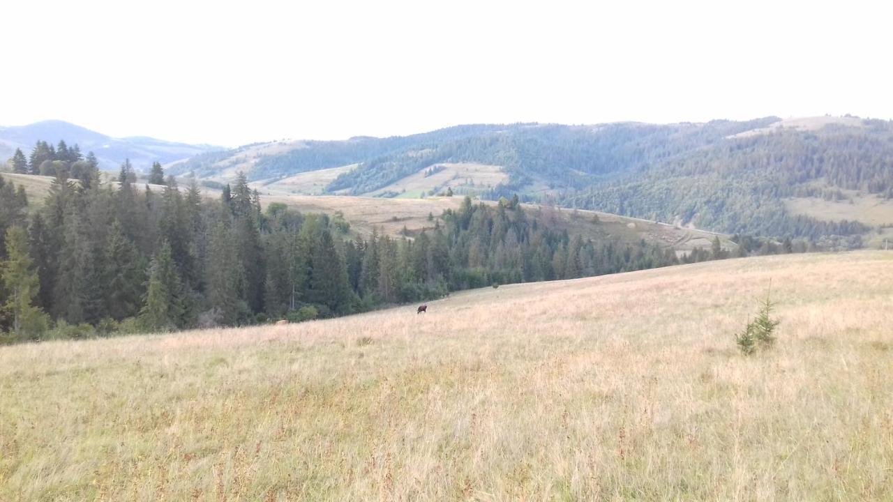 затишний будиночок 度假居 Bukovets
