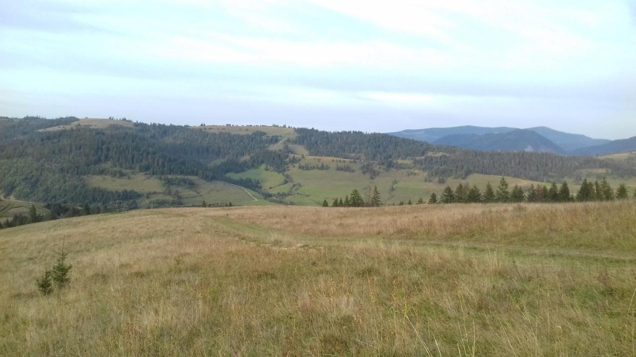 затишний будиночок 度假居 Bukovets